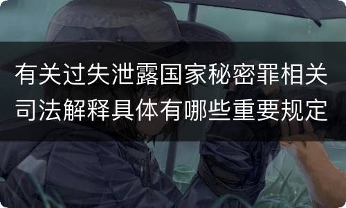 有关过失泄露国家秘密罪相关司法解释具体有哪些重要规定