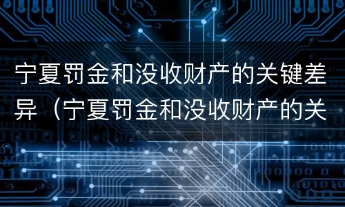 宁夏罚金和没收财产的关键差异（宁夏罚金和没收财产的关键差异有哪些）