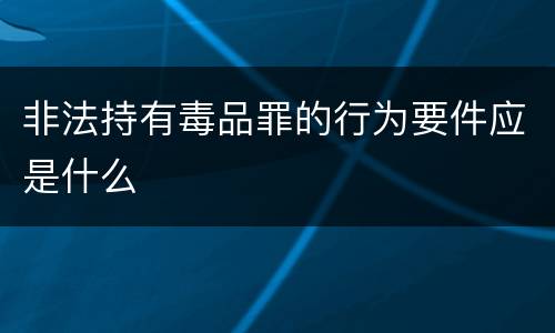 非法持有毒品罪的行为要件应是什么