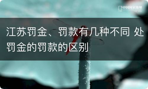 江苏罚金、罚款有几种不同 处罚金的罚款的区别