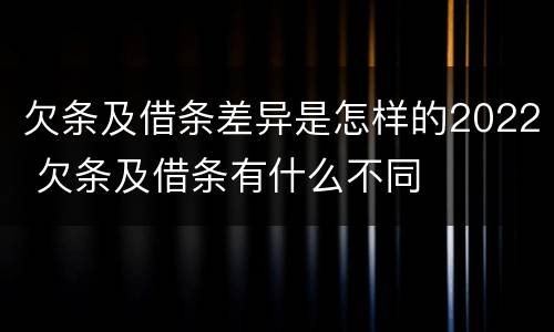 欠条及借条差异是怎样的2022 欠条及借条有什么不同