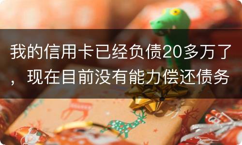 我的信用卡已经负债20多万了，现在目前没有能力偿还债务，请问可以申请破产吗