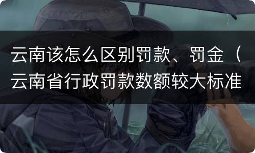 云南该怎么区别罚款、罚金（云南省行政罚款数额较大标准）