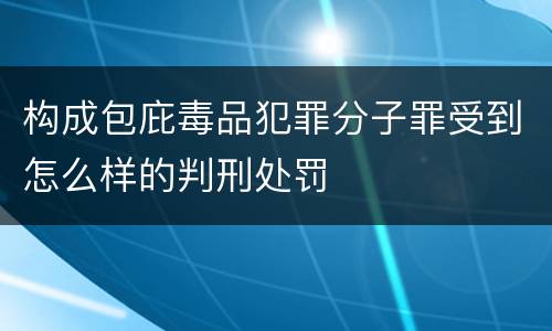 构成包庇毒品犯罪分子罪受到怎么样的判刑处罚