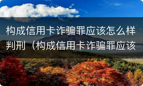 构成信用卡诈骗罪应该怎么样判刑（构成信用卡诈骗罪应该怎么样判刑呢）