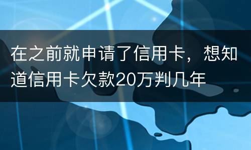 在之前就申请了信用卡，想知道信用卡欠款20万判几年