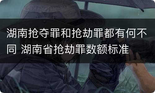 湖南抢夺罪和抢劫罪都有何不同 湖南省抢劫罪数额标准