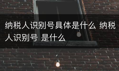 纳税人识别号具体是什么 纳税人识别号 是什么