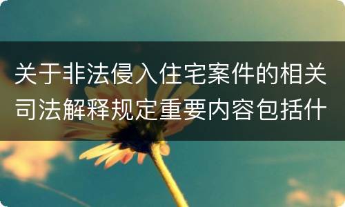 关于非法侵入住宅案件的相关司法解释规定重要内容包括什么