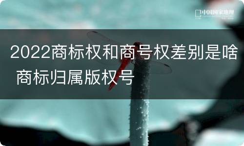 2022商标权和商号权差别是啥 商标归属版权号