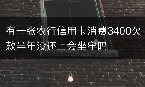 有一张农行信用卡消费3400欠款半年没还上会坐牢吗