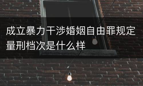 成立暴力干涉婚姻自由罪规定量刑档次是什么样