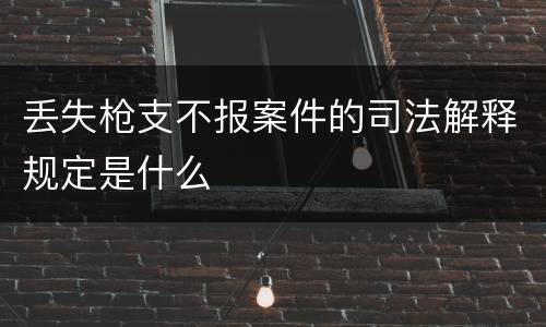 丢失枪支不报案件的司法解释规定是什么