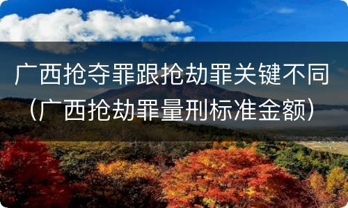 广西抢夺罪跟抢劫罪关键不同（广西抢劫罪量刑标准金额）