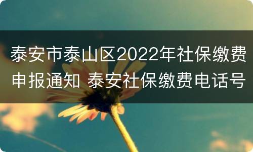 泰安市泰山区2022年社保缴费申报通知 泰安社保缴费电话号码泰山区