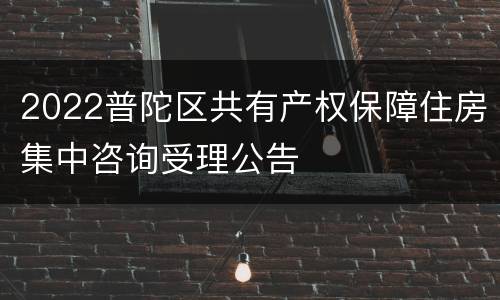 2022普陀区共有产权保障住房集中咨询受理公告