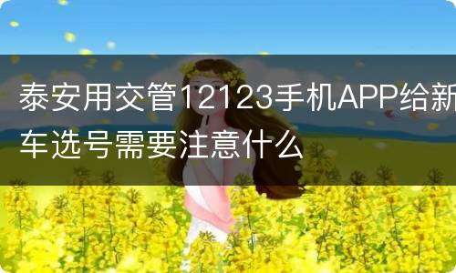 泰安用交管12123手机APP给新车选号需要注意什么