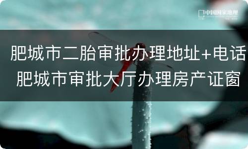 肥城市二胎审批办理地址+电话 肥城市审批大厅办理房产证窗口电话