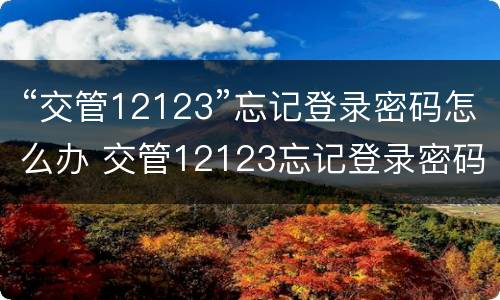 “交管12123”忘记登录密码怎么办 交管12123忘记登录密码怎么办收不到验证码