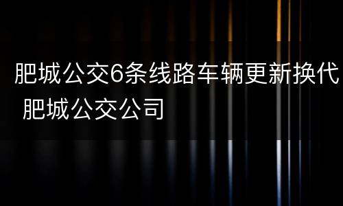 肥城公交6条线路车辆更新换代 肥城公交公司