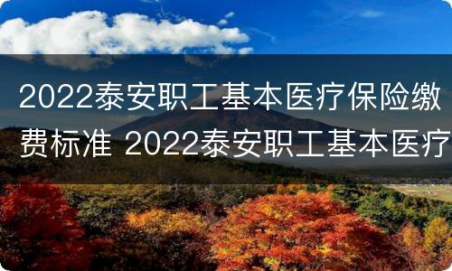 2022泰安职工基本医疗保险缴费标准 2022泰安职工基本医疗保险缴费标准是什么