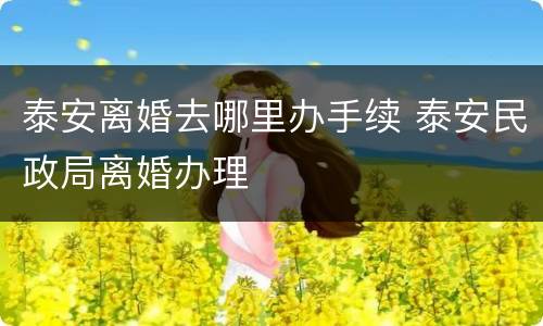 泰安离婚去哪里办手续 泰安民政局离婚办理