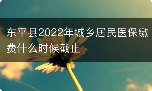 东平县2022年城乡居民医保缴费什么时候截止