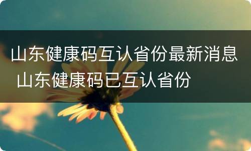 山东健康码互认省份最新消息 山东健康码已互认省份