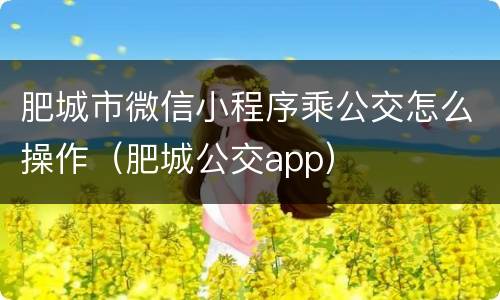 肥城市微信小程序乘公交怎么操作（肥城公交app）