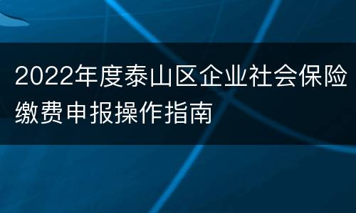 2022年度泰山区企业社会保险缴费申报操作指南