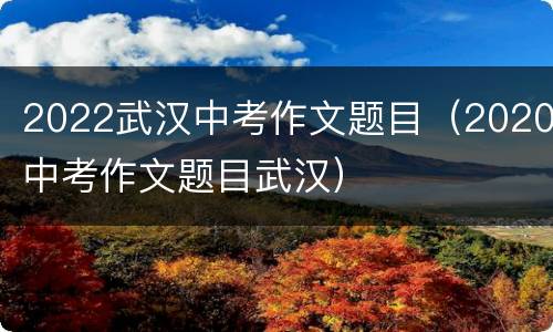 2022武汉中考作文题目（2020中考作文题目武汉）