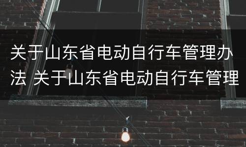 关于山东省电动自行车管理办法 关于山东省电动自行车管理办法最新