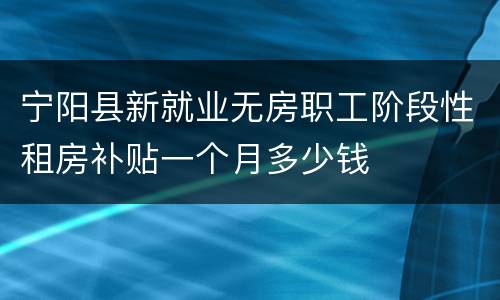 宁阳县新就业无房职工阶段性租房补贴一个月多少钱