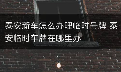 泰安新车怎么办理临时号牌 泰安临时车牌在哪里办