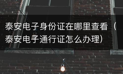 泰安电子身份证在哪里查看（泰安电子通行证怎么办理）