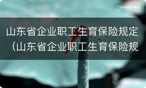 山东省企业职工生育保险规定（山东省企业职工生育保险规定2007）