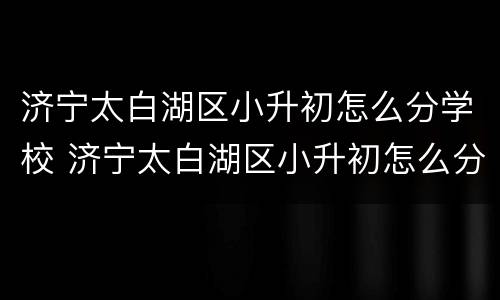 济宁太白湖区小升初怎么分学校 济宁太白湖区小升初怎么分学校和初中