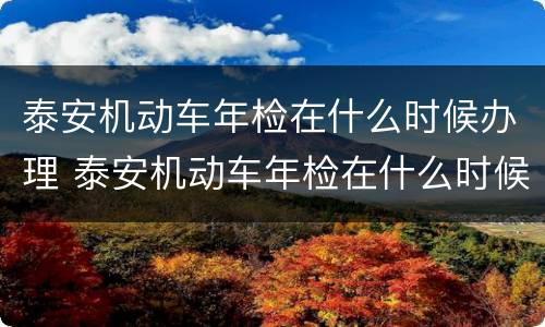 泰安机动车年检在什么时候办理 泰安机动车年检在什么时候办理手续