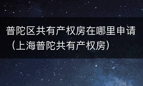 普陀区共有产权房在哪里申请（上海普陀共有产权房）