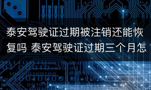 泰安驾驶证过期被注销还能恢复吗 泰安驾驶证过期三个月怎么办