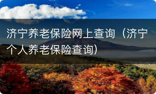 济宁养老保险网上查询（济宁个人养老保险查询）