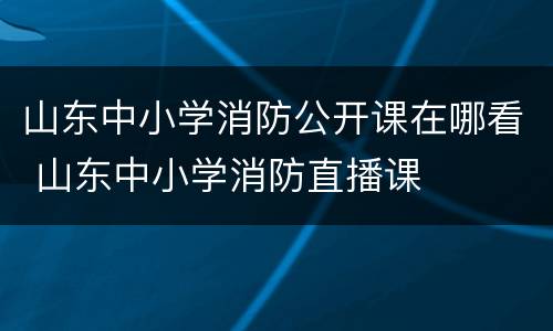 山东中小学消防公开课在哪看 山东中小学消防直播课