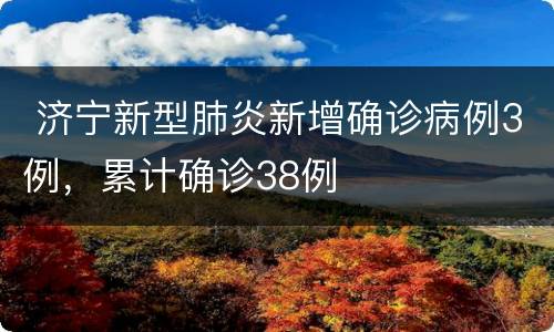  济宁新型肺炎新增确诊病例3例，累计确诊38例