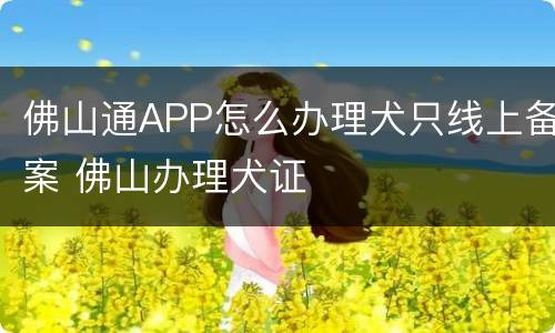 佛山通APP怎么办理犬只线上备案 佛山办理犬证