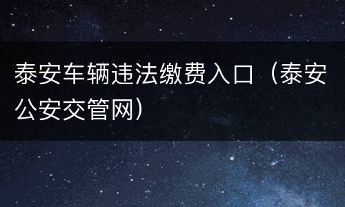 泰安车辆违法缴费入口（泰安公安交管网）