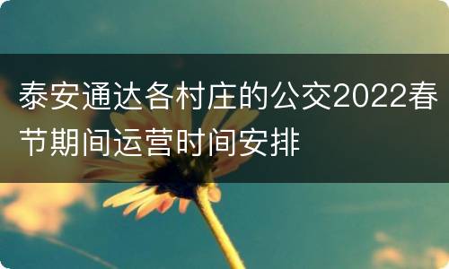 泰安通达各村庄的公交2022春节期间运营时间安排