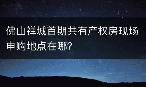 佛山禅城首期共有产权房现场申购地点在哪？