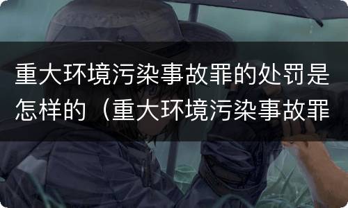 重大环境污染事故罪的处罚是怎样的（重大环境污染事故罪的处罚是怎样的呢）