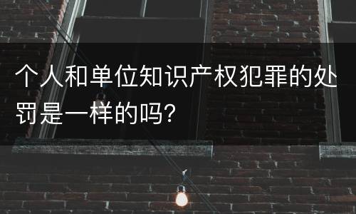 个人和单位知识产权犯罪的处罚是一样的吗？