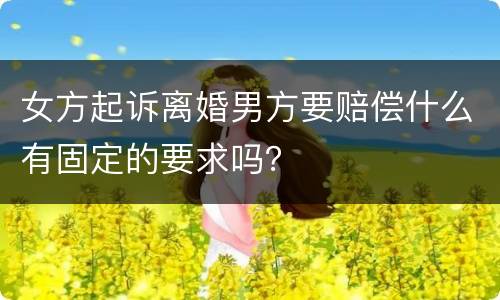 女方起诉离婚男方要赔偿什么有固定的要求吗？